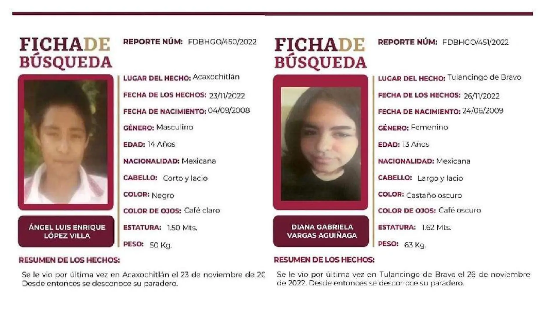 ficha de busqueda